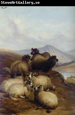 unknow artist Sheep 192